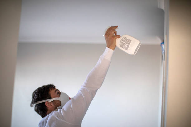 Best Mold Remediation for Specific Building Types in Idalou, TX