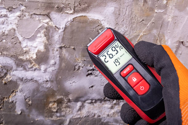 Best Residential Mold Remediation in Idalou, TX