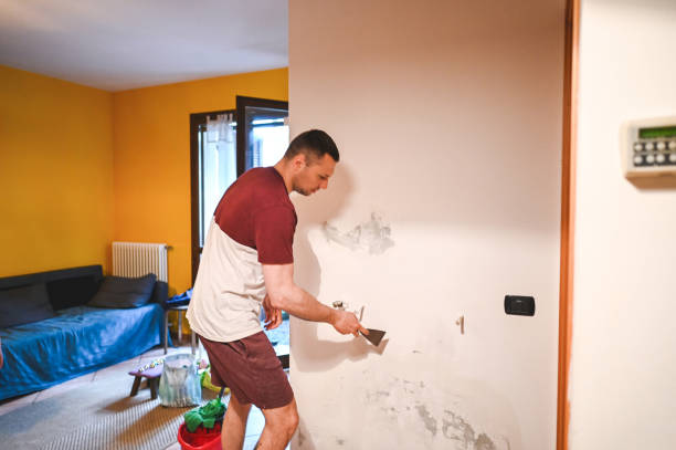 Best Mold Testing and Inspection Services in Idalou, TX